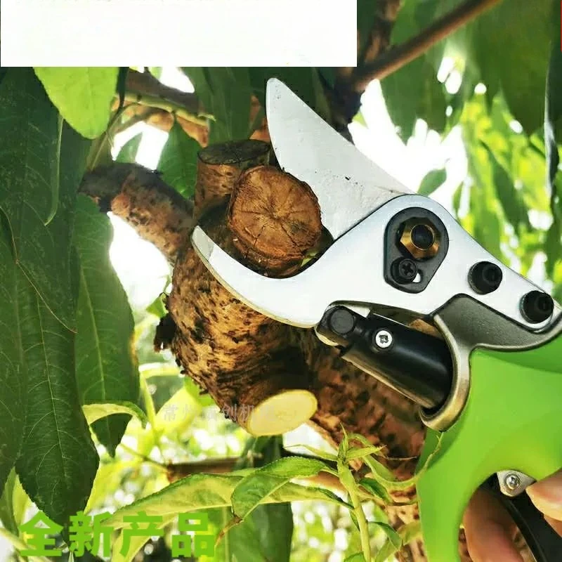 40V Rechargeable Electric Pruning Shears, Cordless Lithium Battery Fruit Tree Branch Cutter for Garden