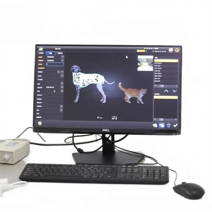 Vet X-Ray Unit Clinic DR Equipment Veterinaria X Ray Machine for Hospital