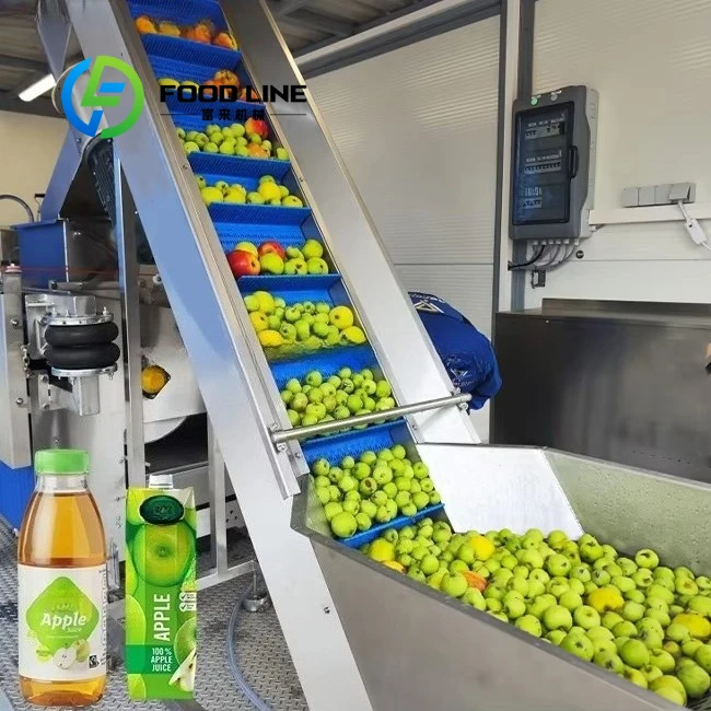 

Automated Apple Juice Manufactur Line Complete Pre Treatment And Sterilization System For Raw Apple And Beverage Mass Production