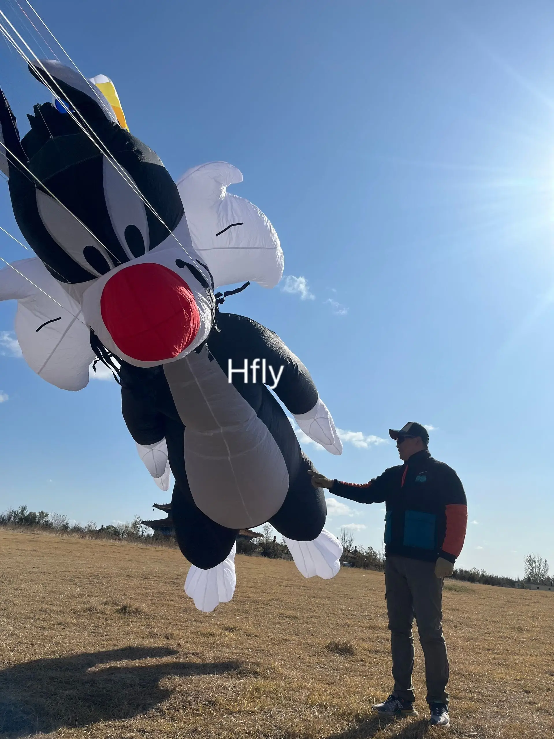 Cerf-volant gonflable en nylon ripstop, ligne de pendentif chat, linge doux, nouveauté, 40D, 5m