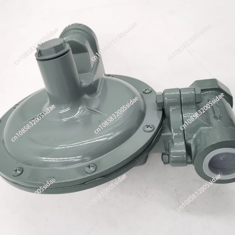 Natural Gas Pressure Regulator Liquefied Petroleum Natural Gas Secondary Transfer Low Pressure Reducer Stabilizer Valve