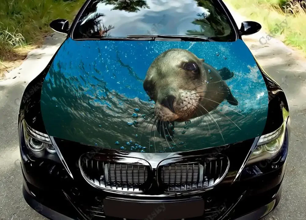 sea lion animal Car Hood Decal Vehicle Decals Vinyl Sticker Auto SUV Wrap Stickers Truck Graphic Cars Bonnet Vinyls