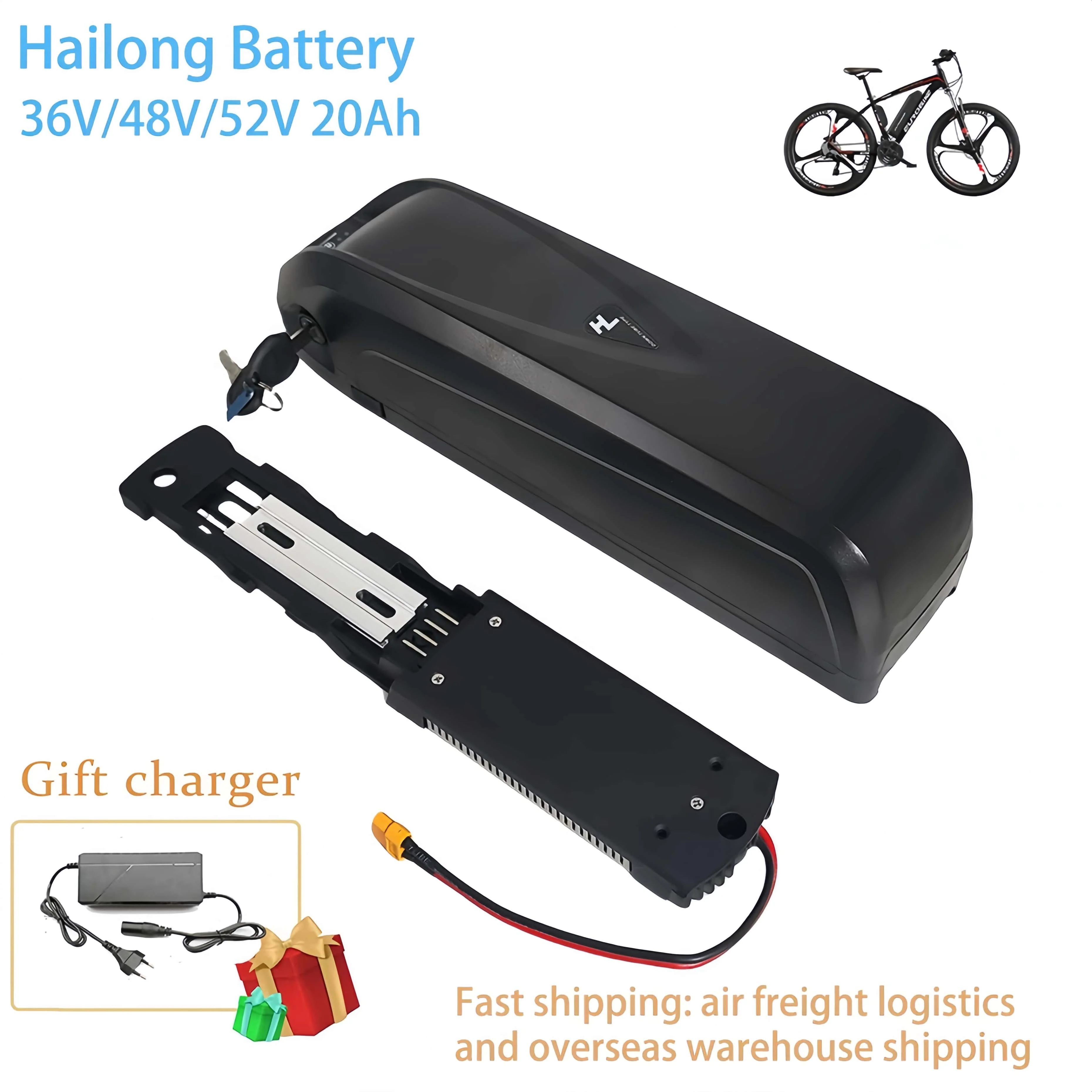 

Hailong battery 48V 20Ah Battery 36V 52V 20A with USB port built-in BMS 250W-1000W Full Capacity power battery pack with charger