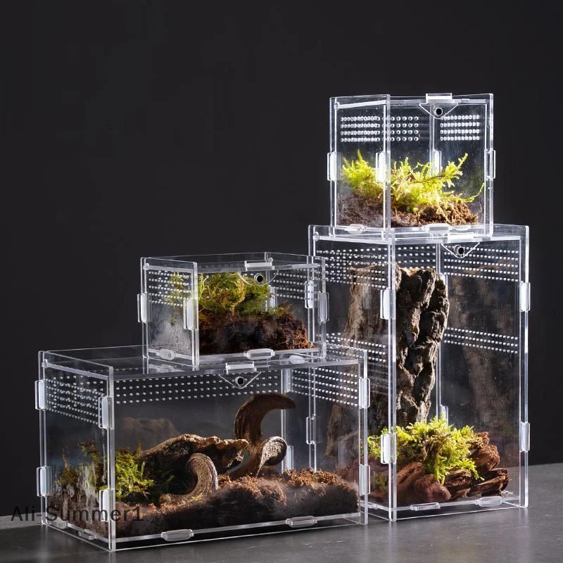 【E】Acryl Transparent Reptile Fütterungsbox Terrarium Lebensraum Insekt Spinne Eidechse Skorpion Fütterungskäfig Arboreal Gehäuse Fall