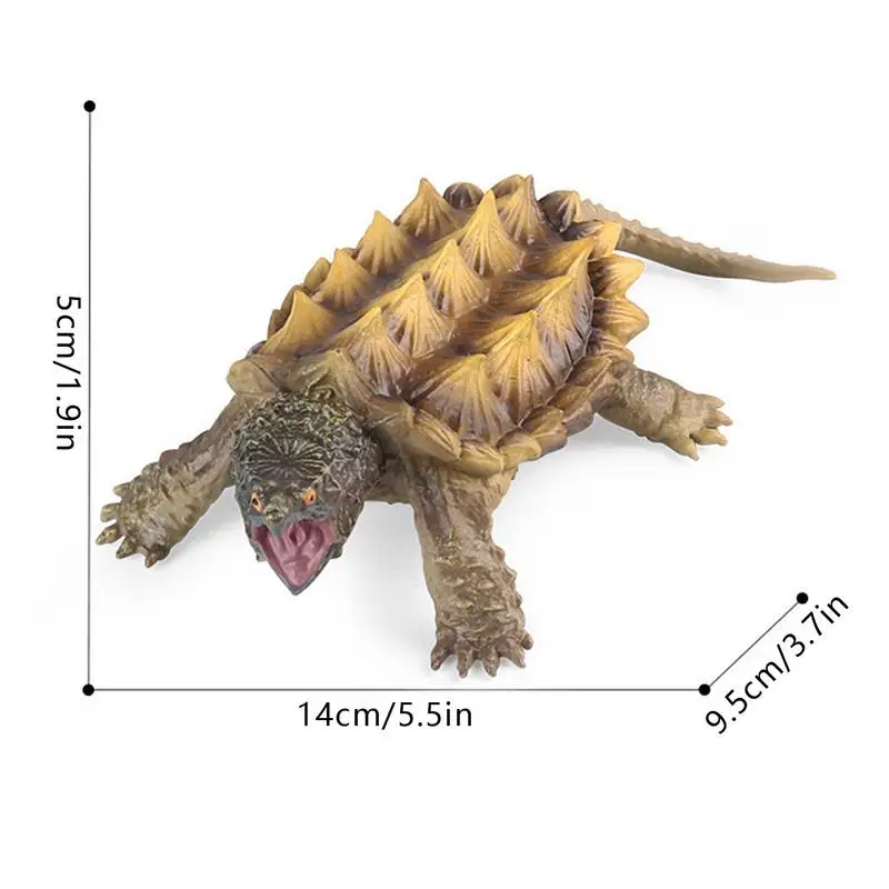동물 모델 스냅 거북이 거북이 액션 장난감 피규어, 생물 인지 시뮬레이션, 어린이 교육 장난감