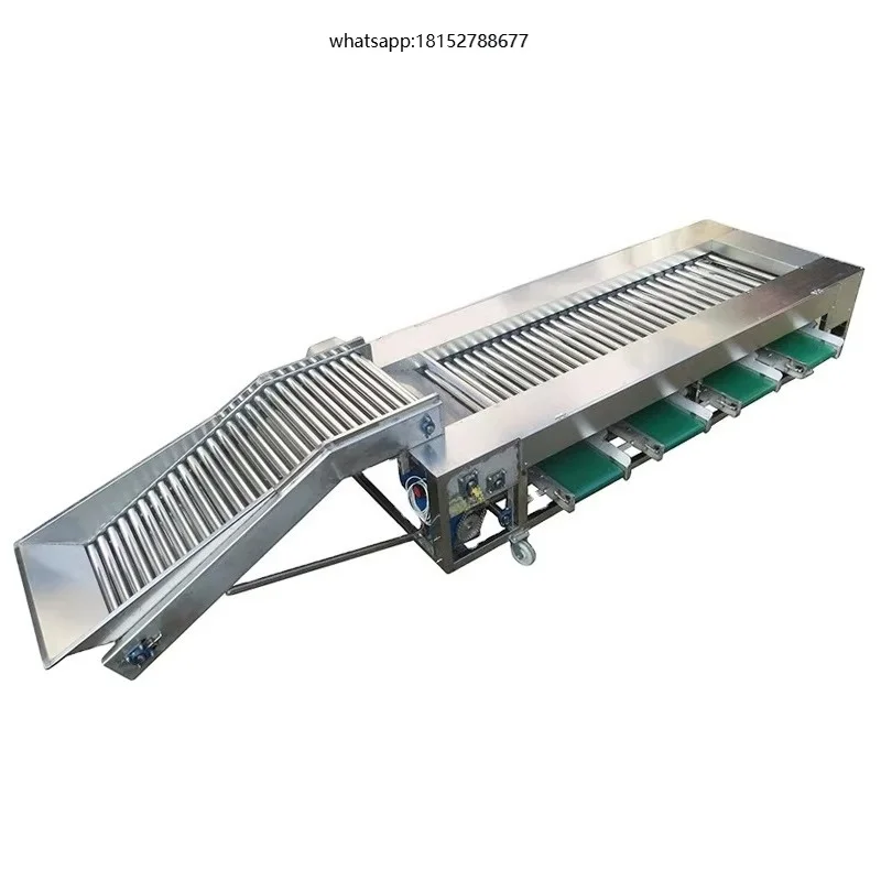 Made Fruit Sorting Grading Machine Cherry Tomato Grading Machine