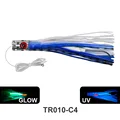 TR010-C4