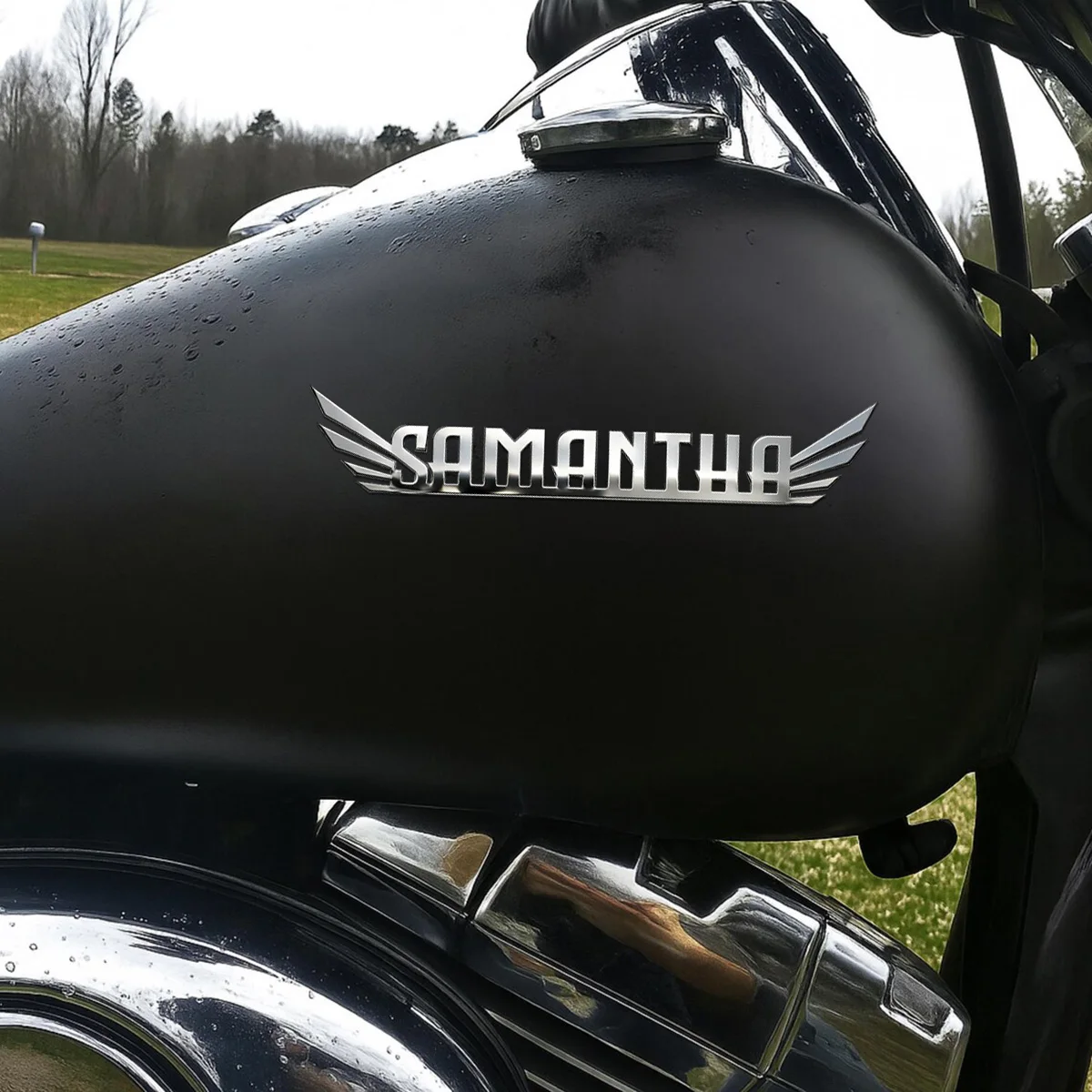 

Trendy Wings 3D Metal Car Badge Body Trunk Emblem Decor Sticker Auto Personalized Name Logo Stainless Steel Car Decor Accessorie