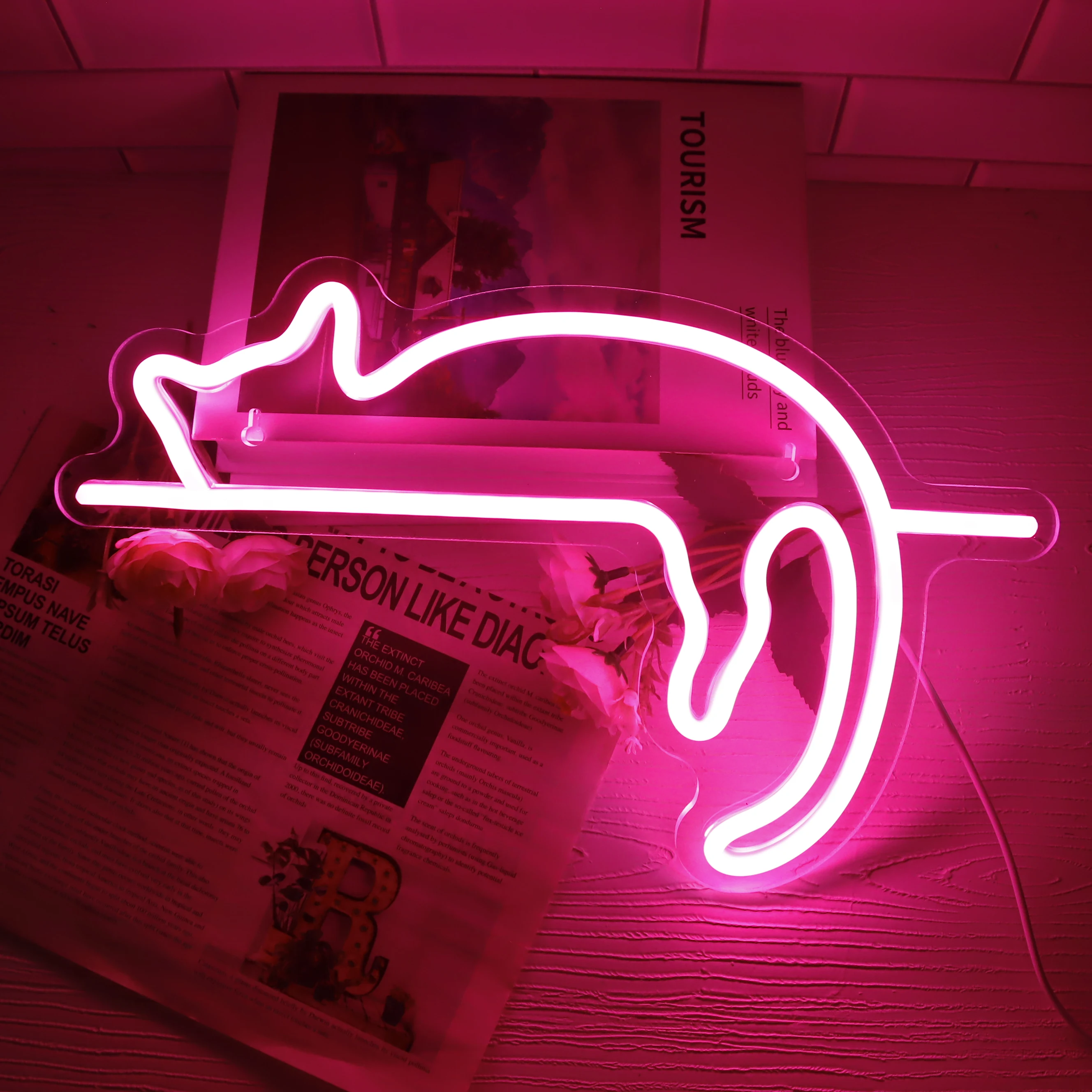 Cat LED Neon Light Sign Kawaii Children\'s Bedroom Wall Decoration Neon Lamps Creative Birthday Gift Room Wall Decor