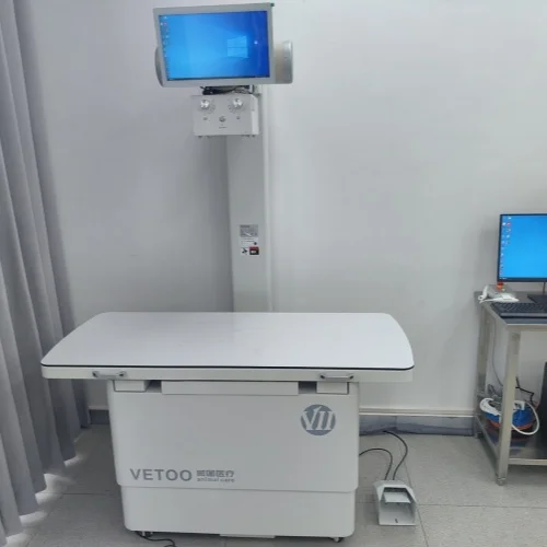 Veterinary Static DR System Offers Advanced Digital X-ray Imaging For Animals Providing Clear High-resolution Images CE Support