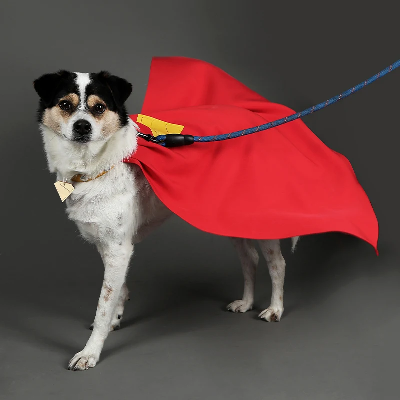 Capa para perro mascota, disfraz de loween, disfraz de pequeño Kryptonian, accesorios de estrella, lluvia, serie de cómics Chen, pieza de disfraz para mascota