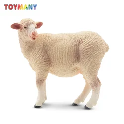 Toymany Simulation White Ewe Farm Animal Model Toy Mini Figures Dolls Action Figurines Toys Children Gift Cake Decoration