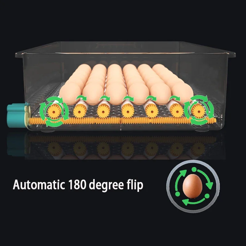 Imagem -06 - Incubadora de Ovos Totalmente Automática Incubadora de Incubação Turner Máquina Doméstica Farm Hatcher Ganso Codorna Frango 16 Ovos 36 Ovos