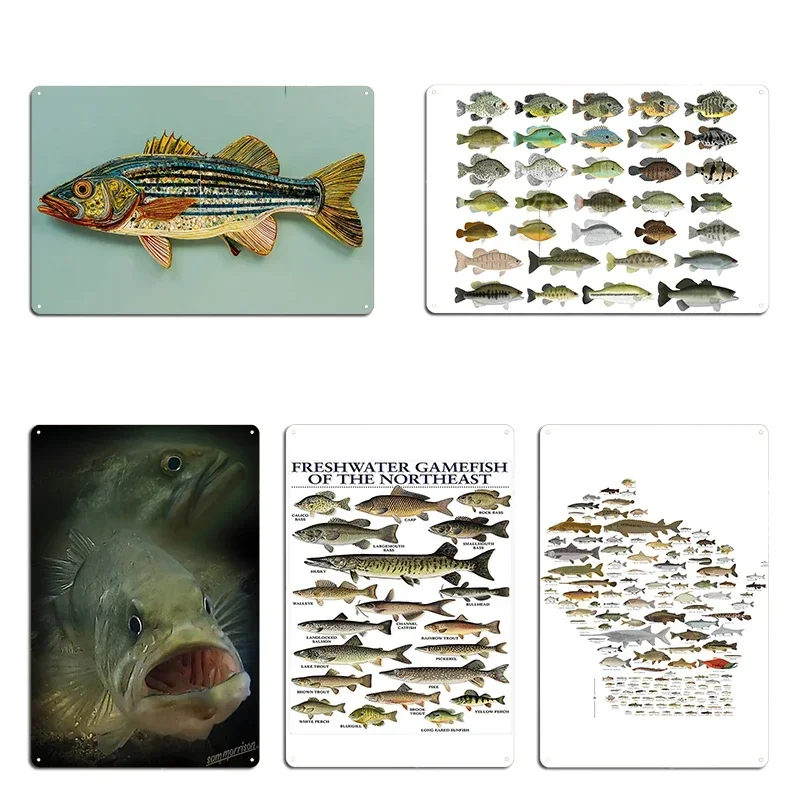 Póster Metálico de la Familia de Peces Solinos de Wisconsin, Gráfico de Peces de Agua Dulce, Mural para Sala de Estar, Impresión Creativa, Letrero de Cine