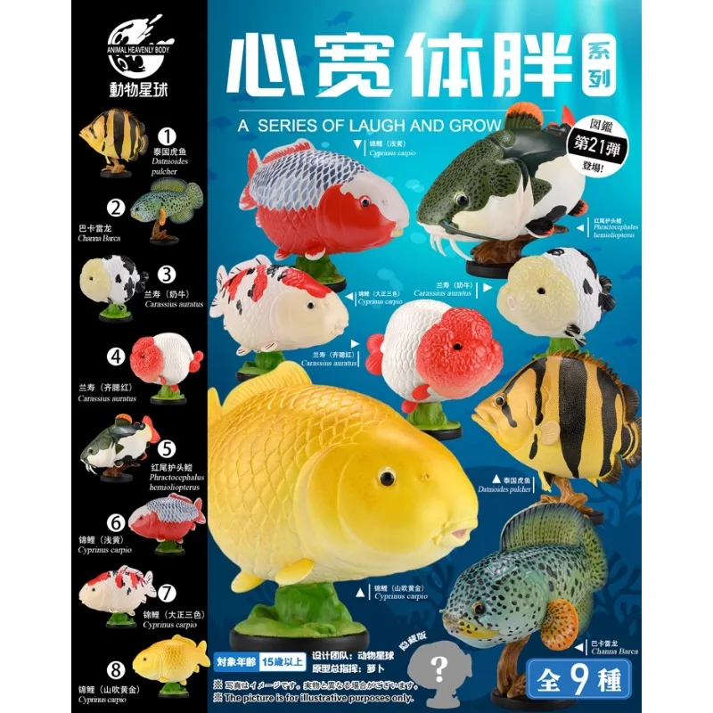 Original Animal Planet Laugh and Grow Fat Ornamental Fish Qversion Animal Anime Action Figure Model Toy Gift Collection Ornament