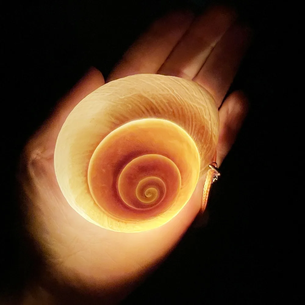 Rope Chain Sea Snail Shell Necklace Conch Shell Glowing Shells Glowing Necklaces Cosplay Costume Jewelry Gift