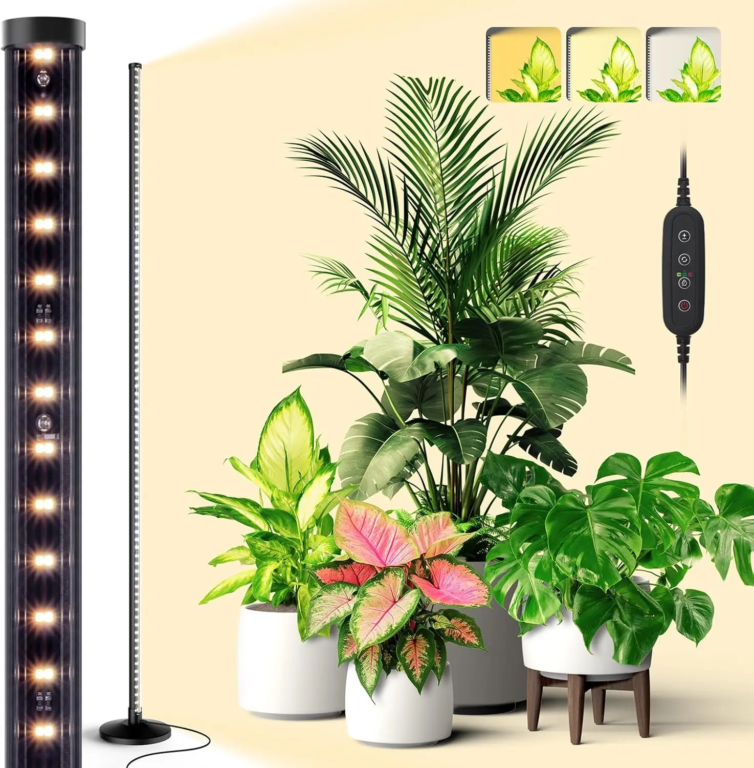 

Adjustable Height Floor Grow Light with Timer, 3 Modes & Dimmable Full Spectrum LED for Indoor Plants