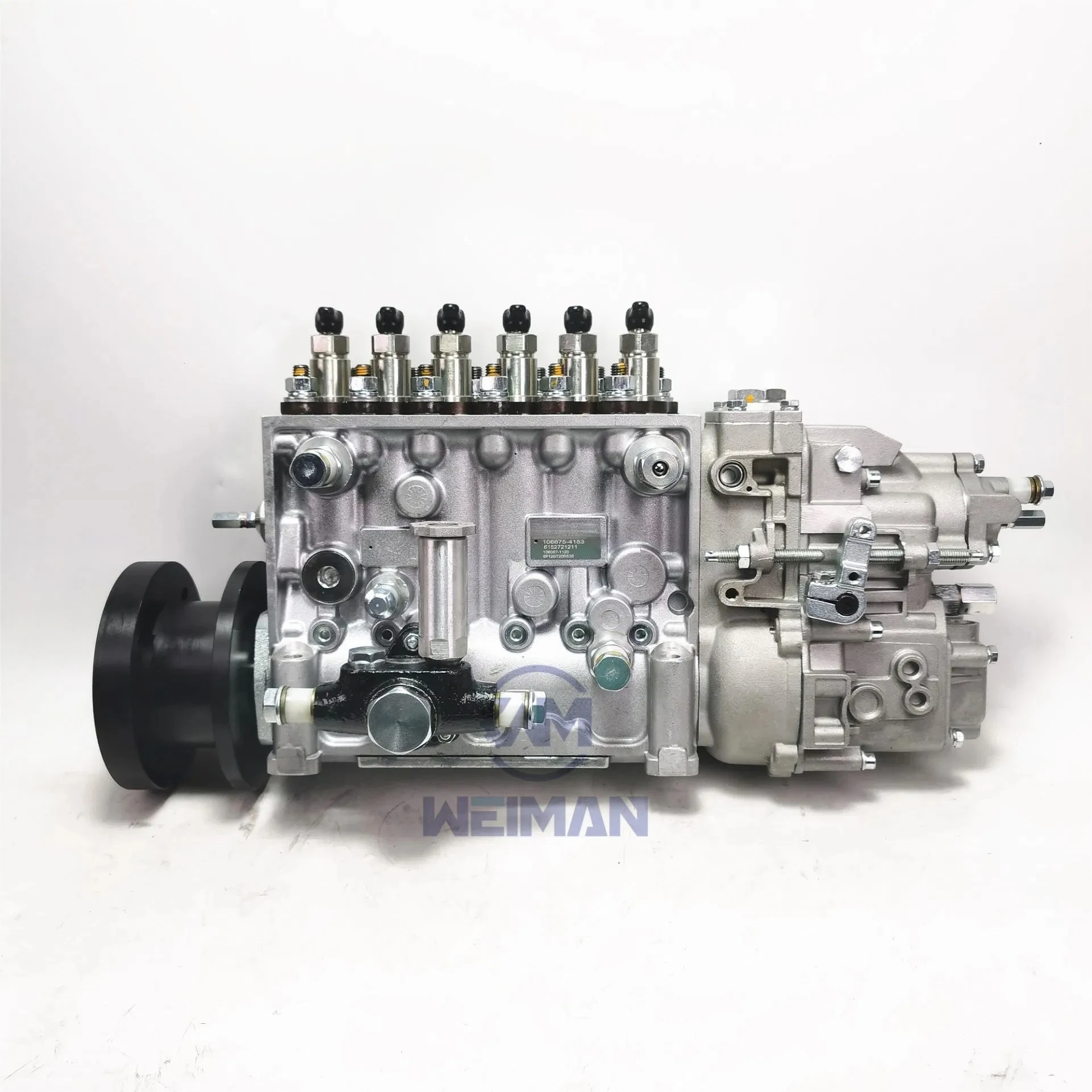 Premium Automotive Diesel Injection Pump 0445025040 Fuel Pump Assembly