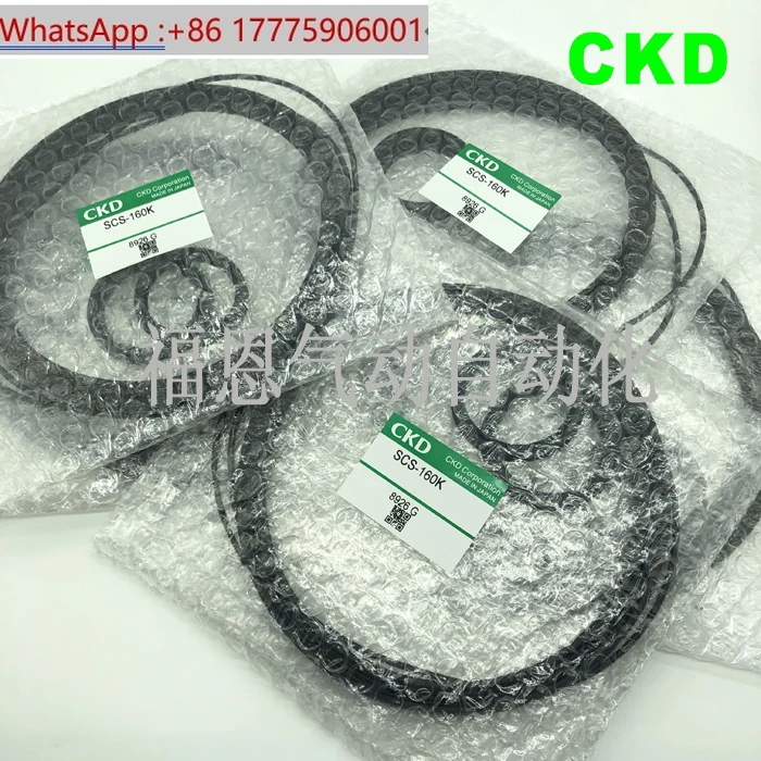 Ckd Cylinder Repair… - image