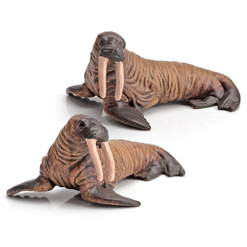 12PCS Simulation Trumpet Marine Biological Model White Shark Walrus Humpback Manatee Children Education Cognitive Toy