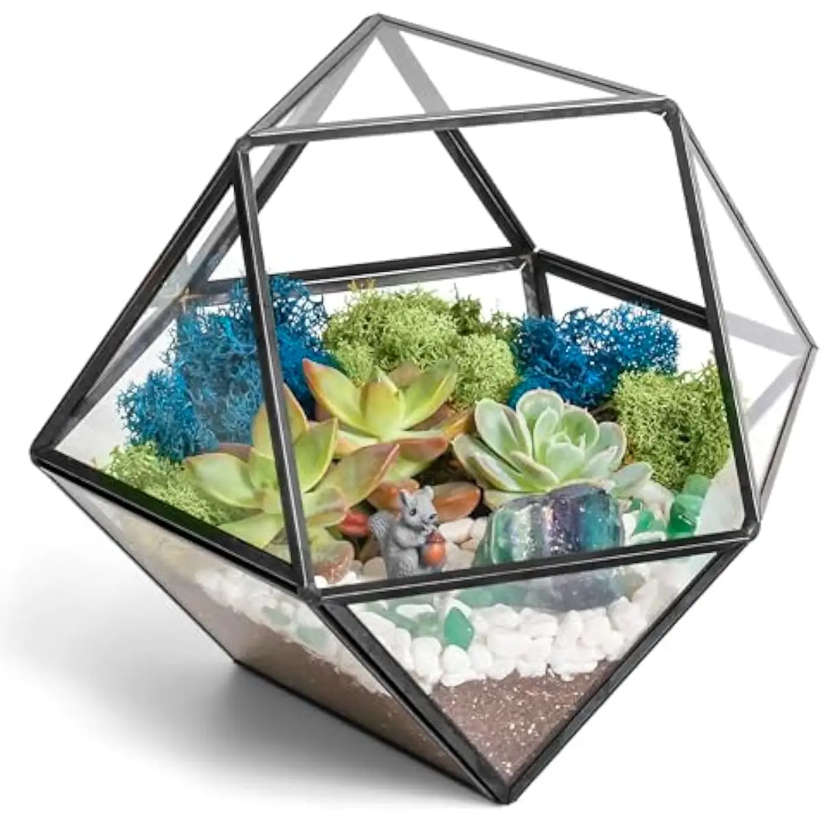 DIY Modern Dodecahedron Terrarium Kit Featuring Live Air Plant or Succulent, Natural Moss, Premium Soil, Decorative Pebbles, Cry