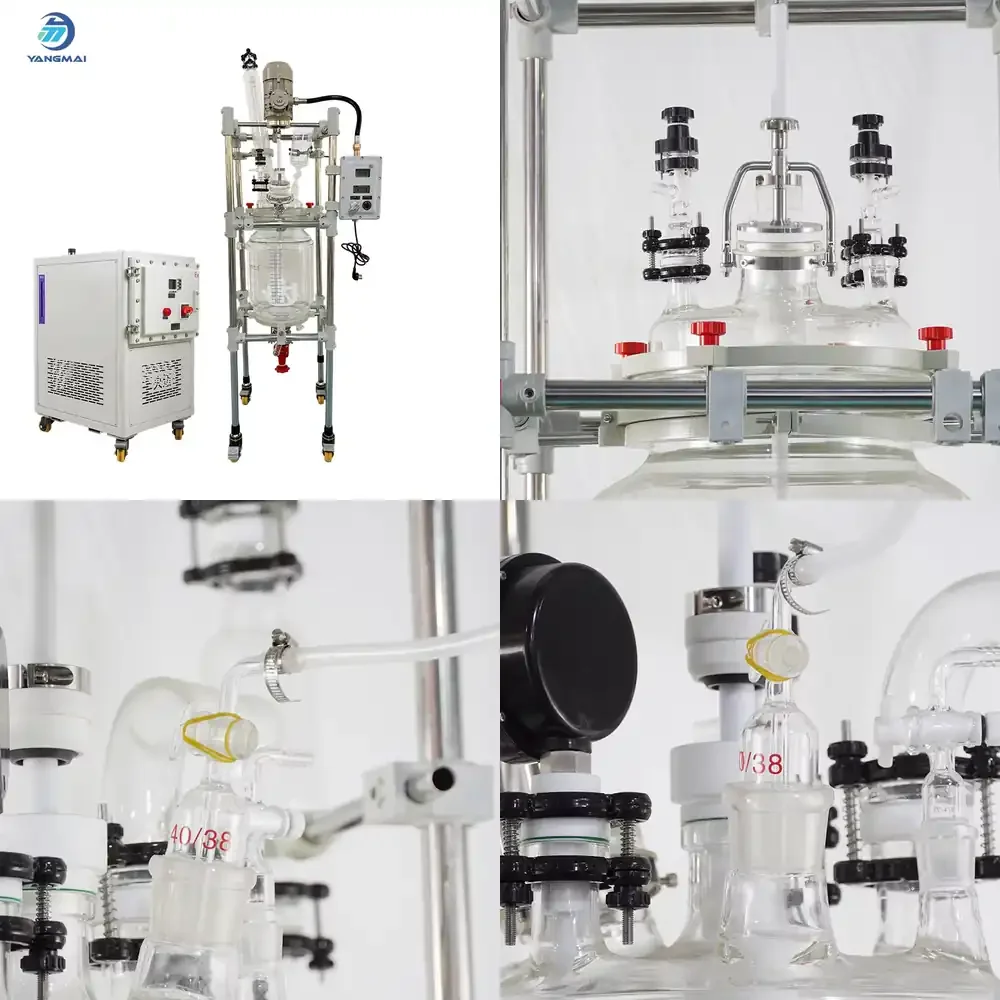 

Yangmai Double Jacket Glass Reactor Reaction Kettle for Chemical and Reflux Experiments