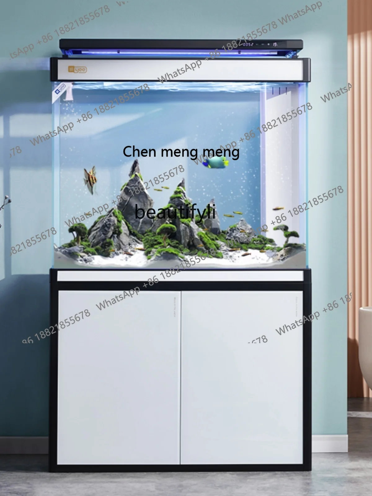 Fish Tank Living Room New Bottom Filter Landscape Super White Entry Door Partition Hallway Change Water Dragon Fish Tank