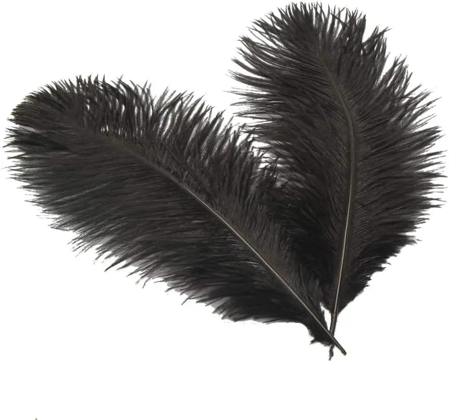 

6-8inch(15-20cm) Ostrich Feathers Plume for Wedding Centerpieces Decoration Pack of 10pcs Plumas Feathers Golden Goose