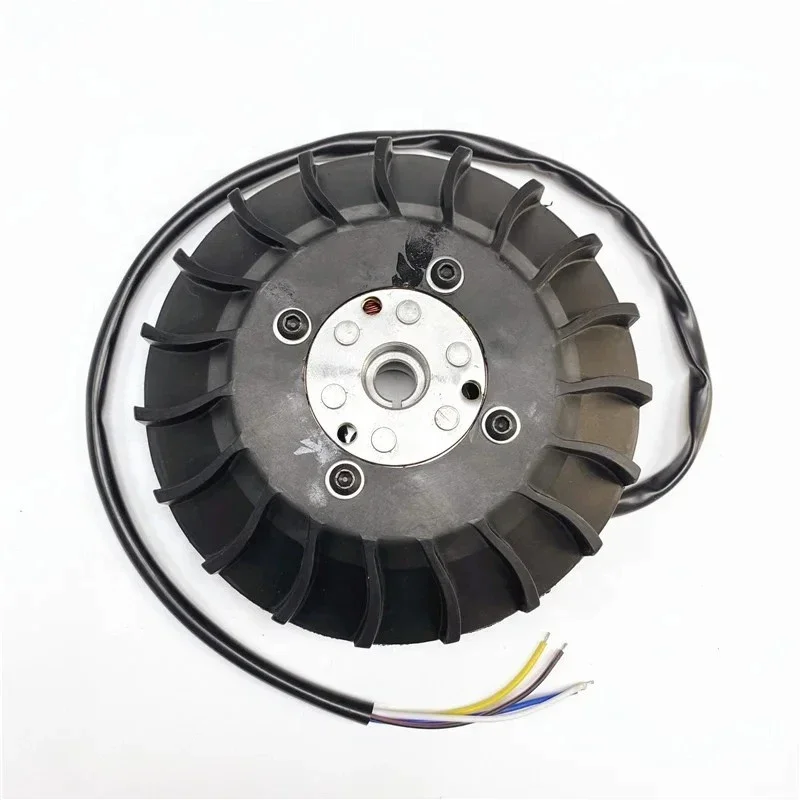 

Suitable for 20mm PX125 150 200 12 Volt Electric Start Flywheel Magneto