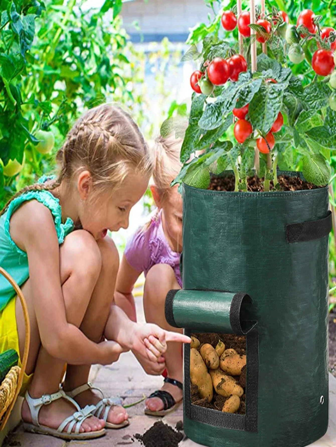 Immagine 4: Set di 5 Sacchi per Coltivazione di Piante e Verdure, Contenitori per Piantare, Vasi da Giardino Rinforzati, Sacchi per Coltivazione Patate Fai-da-Te in Tessuto PE