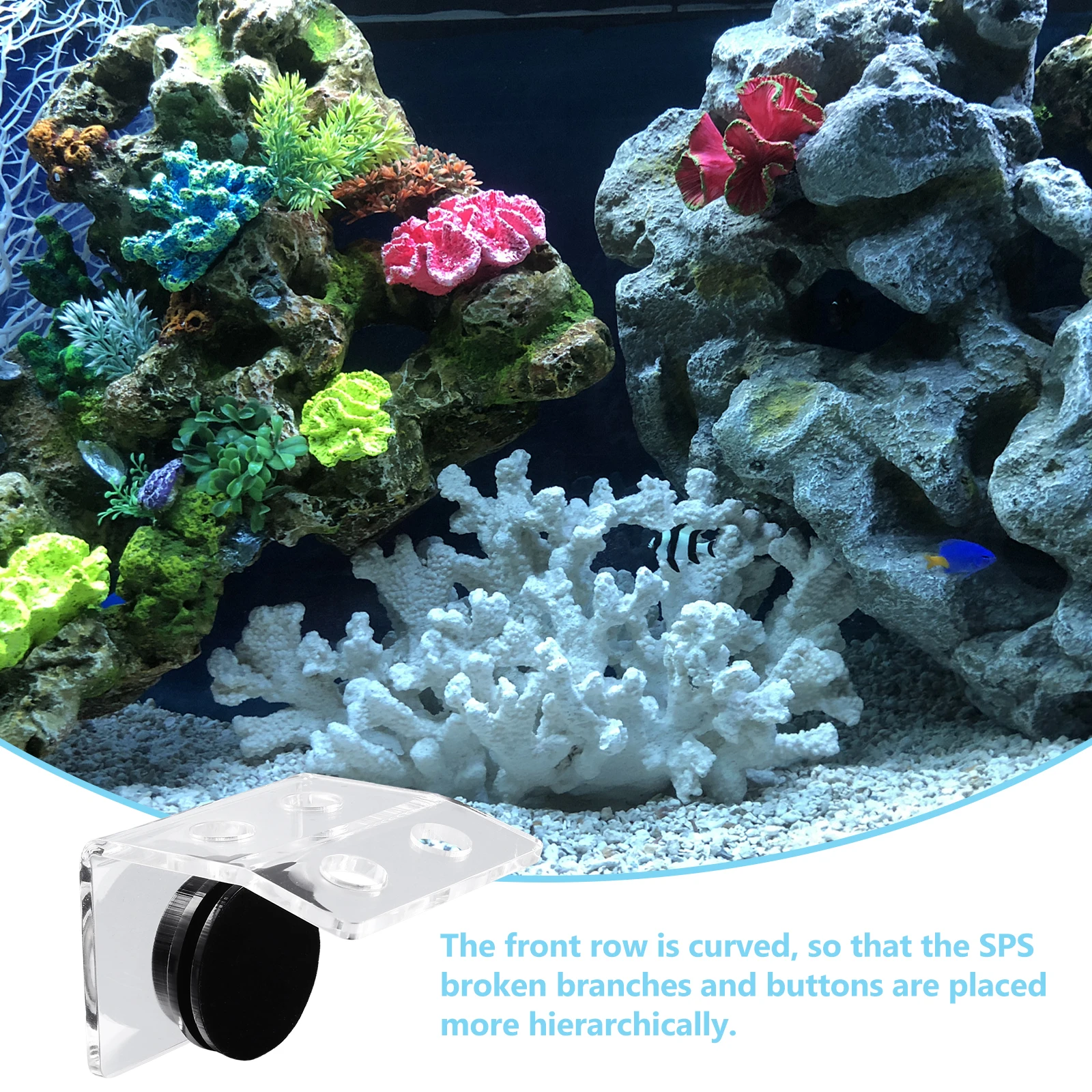 

Magnetic For Coral Plug Button Aquarium Fish Tank Strong Suction Curved Front Led Light Reef Rack Acrylic Coral