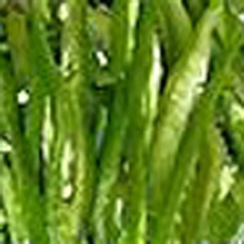 

Коммерческая электрическая мясорезка-слайсер, полностью автоматическая машина для нарезки мяса и овощей, измельчитель мяса из нержавеющей стали