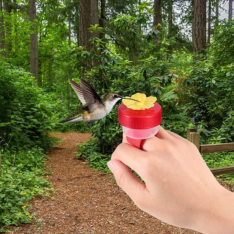 Bird Feeder Set With 2 Pcs Humming Bird Feeders Ring And 2 Pcs Wrist Bird Feeders For Outdoors Bird