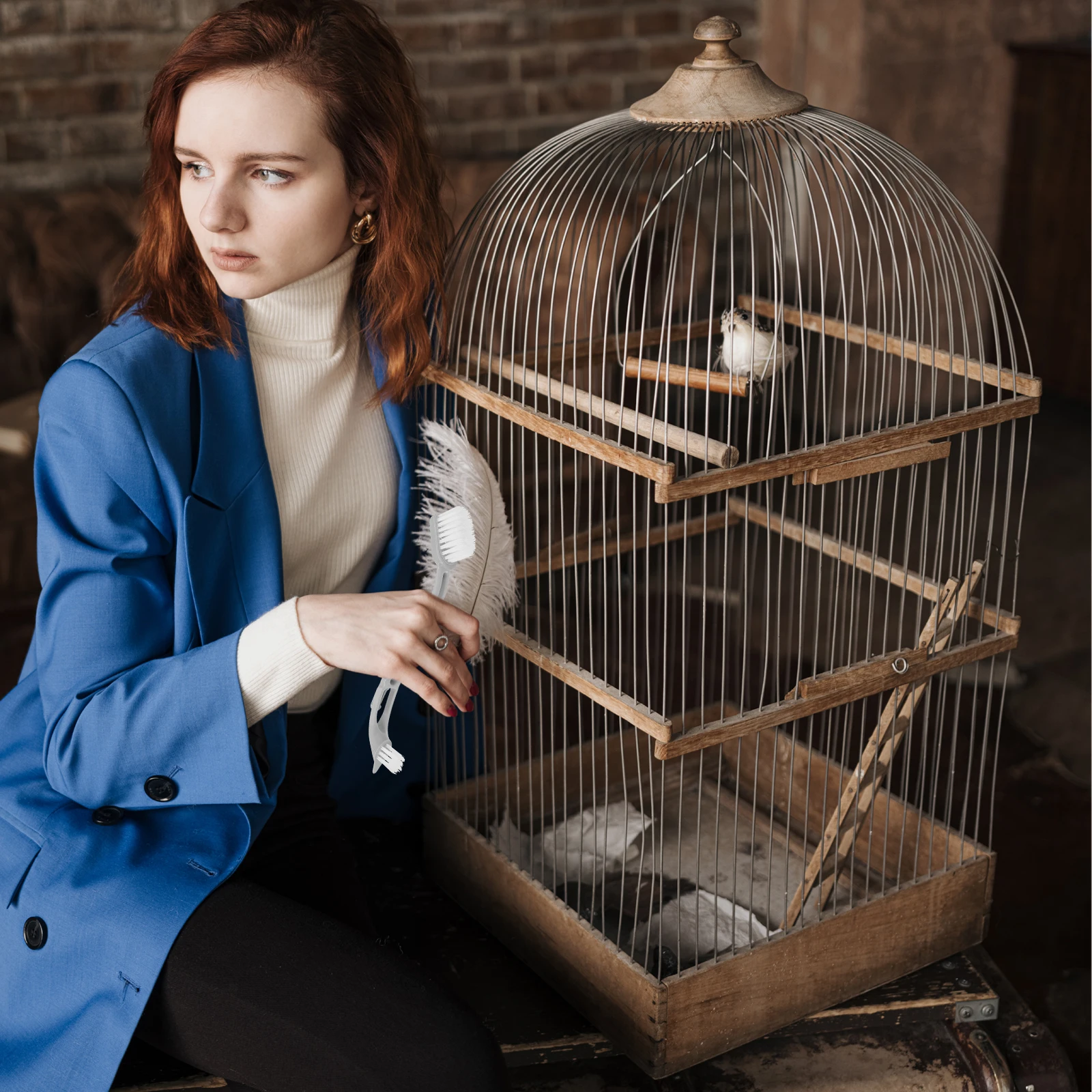 

Bird Cage Cleaner Cleanser Double Headed Cleaning Brush Detergent Grey Birdcage