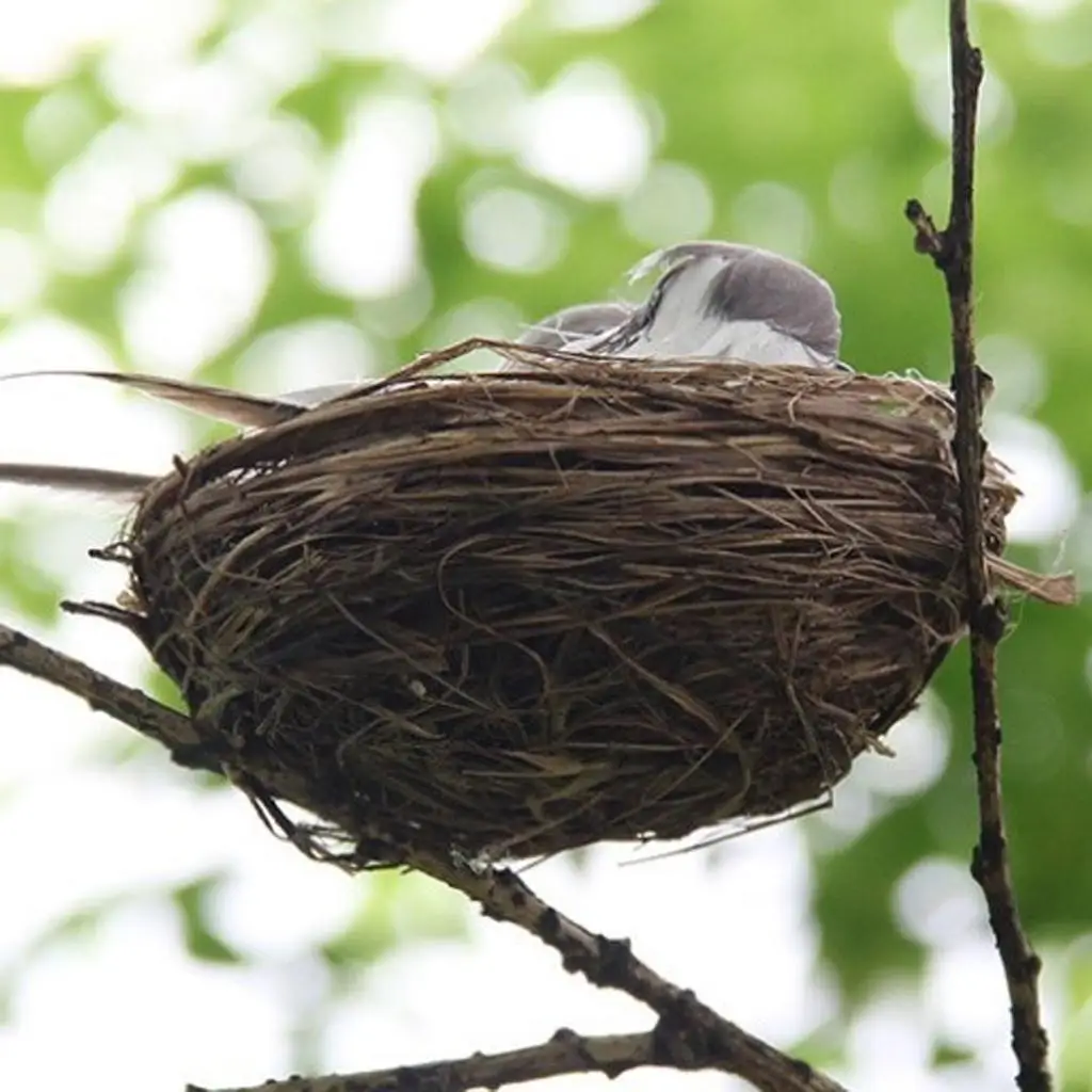 

Artificial Bird Nest Garden Figurines Lawn Ornament Decorative Birds for Table Cage Tree Home Decoration
