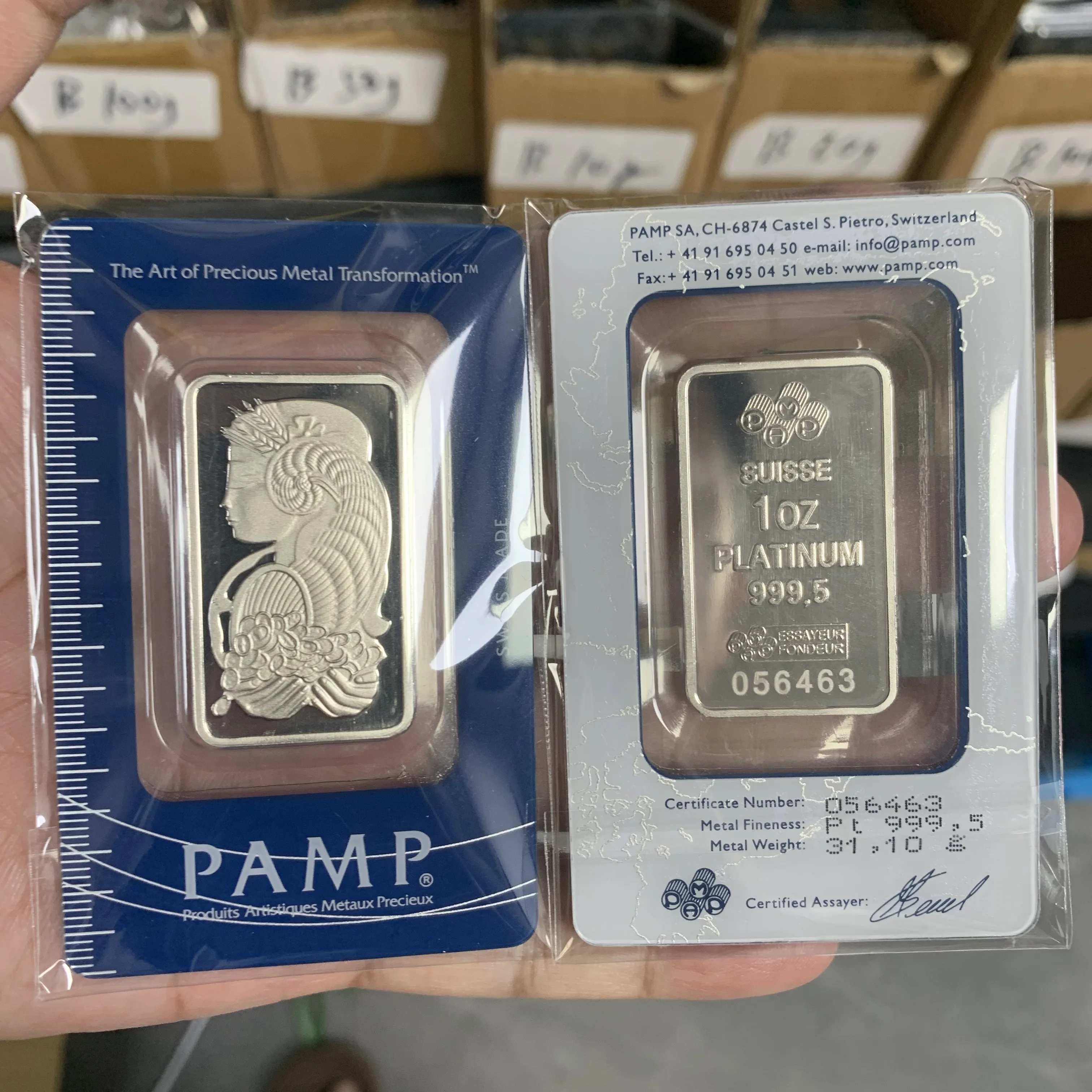 Silver Tone Metal Art Bar with Classic Portrait Relief, Rectangular Decorative Collectible in Protective Packaging Souvenir Gift