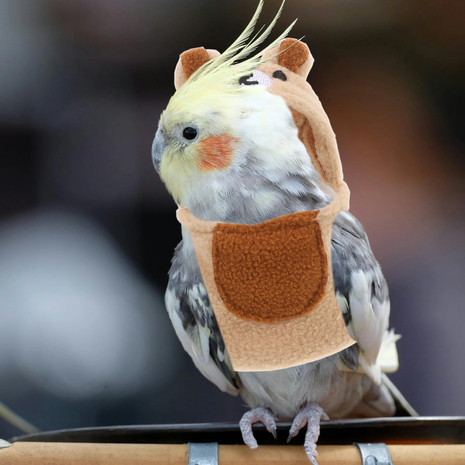 

Pet Birds Costume Flight Jacket Style Bird Hoodie for Parakeet Lovebird Winter Warm Clothing Small Animal Apparel