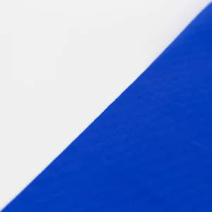 10 Hauptverkaufsflagge Russland - №10