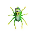 Spider-6G-04