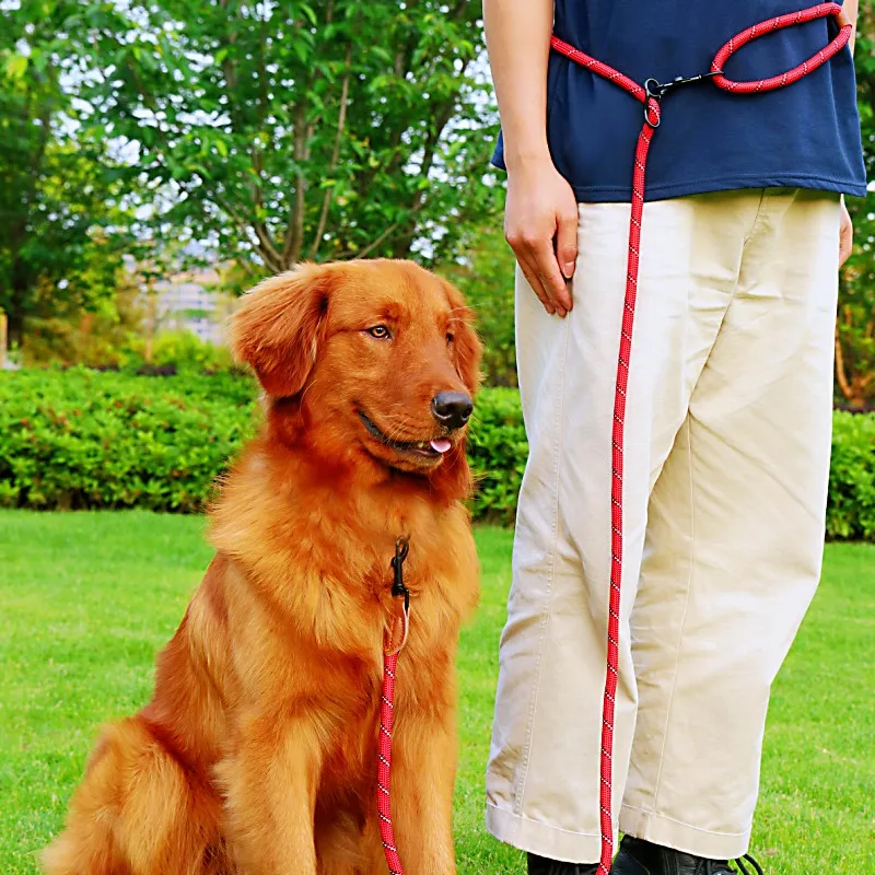 Dog Leash Hands Free Leashes for Dog Walking Adjustable Dogs Leash Reflective Dogs Chain Multi-functional Traction Rope 230cm