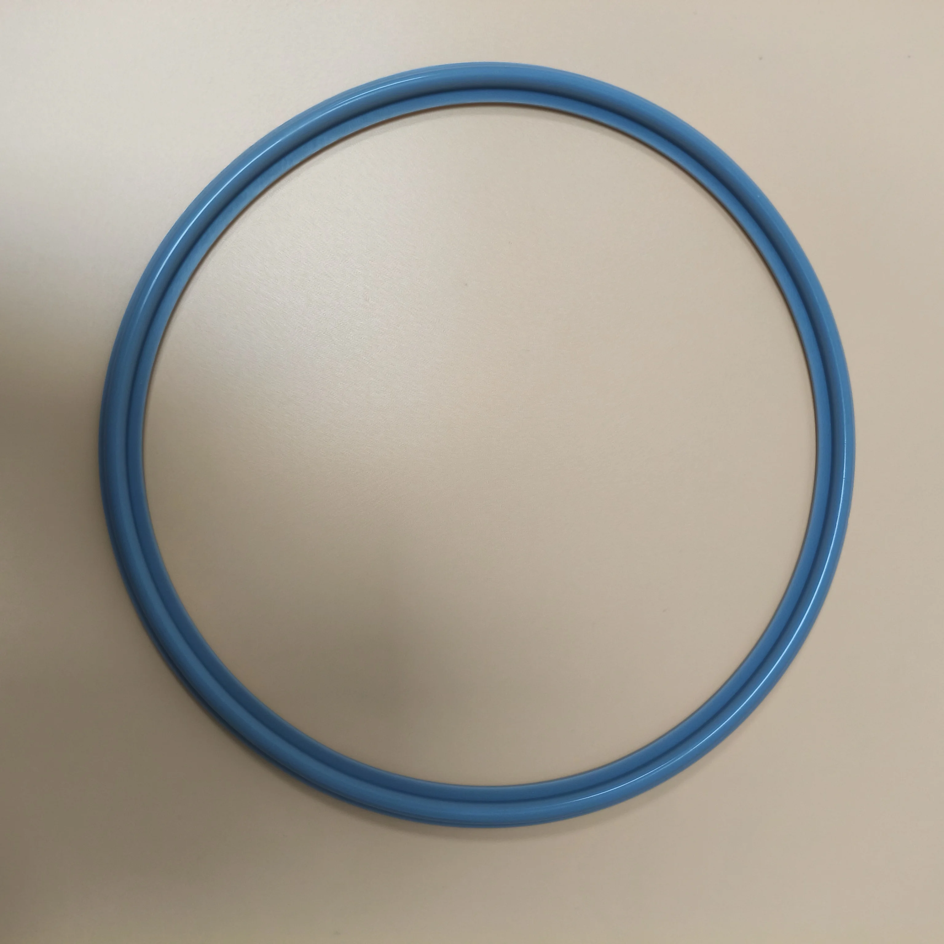 gasket  For NSK Domina Plus-classe DXP DomiAutoclave door gasket sterlization replacement seal o- ring Chamber accessories and t
