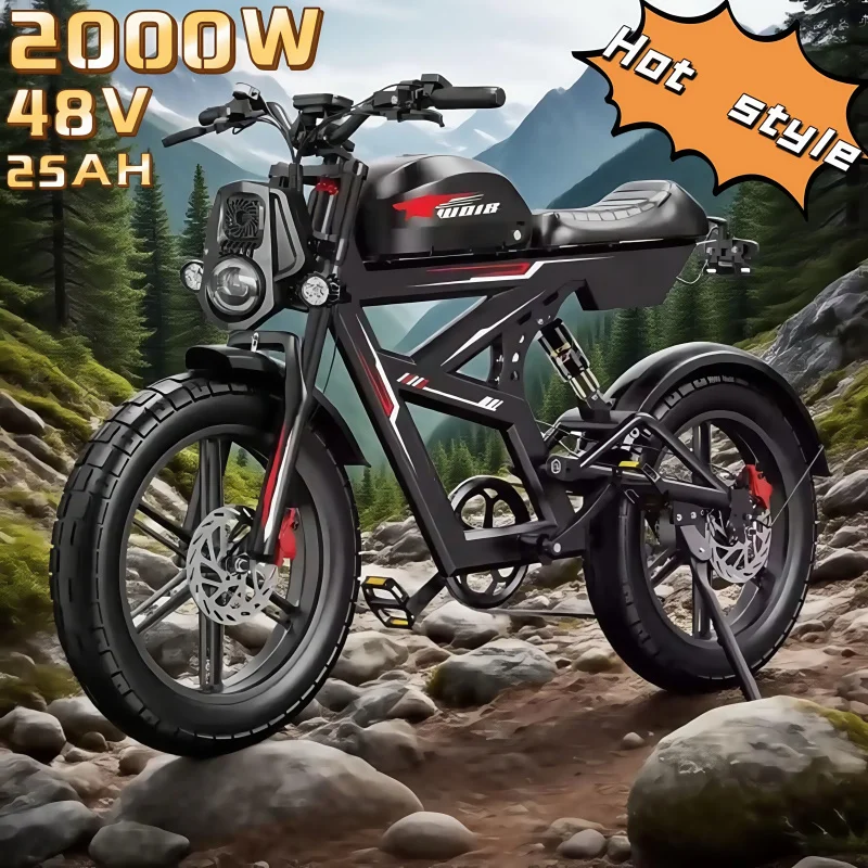 

Hot Sales Off-Road Mountain Adult 20-inch Fat Tires 2000W Dual Motor Power 25AH Large Battery
