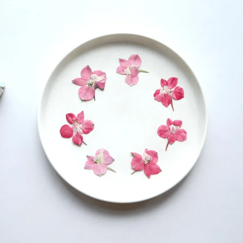 2-3cm/24pcs,natural pressed pink flower petals,DIY drop gel mobile phone shell photo frame bookmark manicure flower material