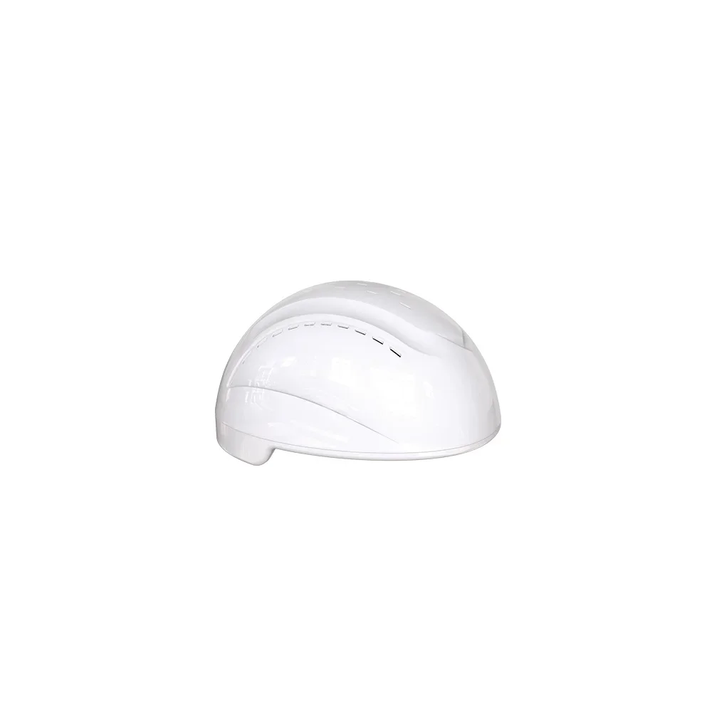 PBM helmet 810nm brain bioregulator Alzheimer's disease treatment brain injury rehabilitation