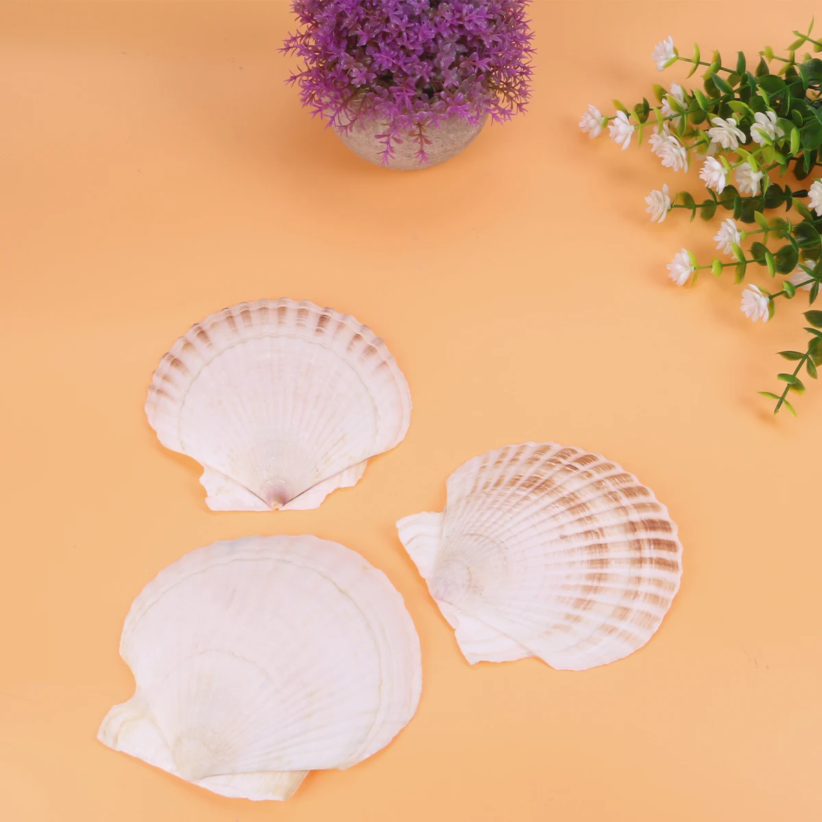 

Decoration Fish Tank Aquarium Ornament Natural Decorations Ocean Style Underwater Scenery Vase Home Accessories