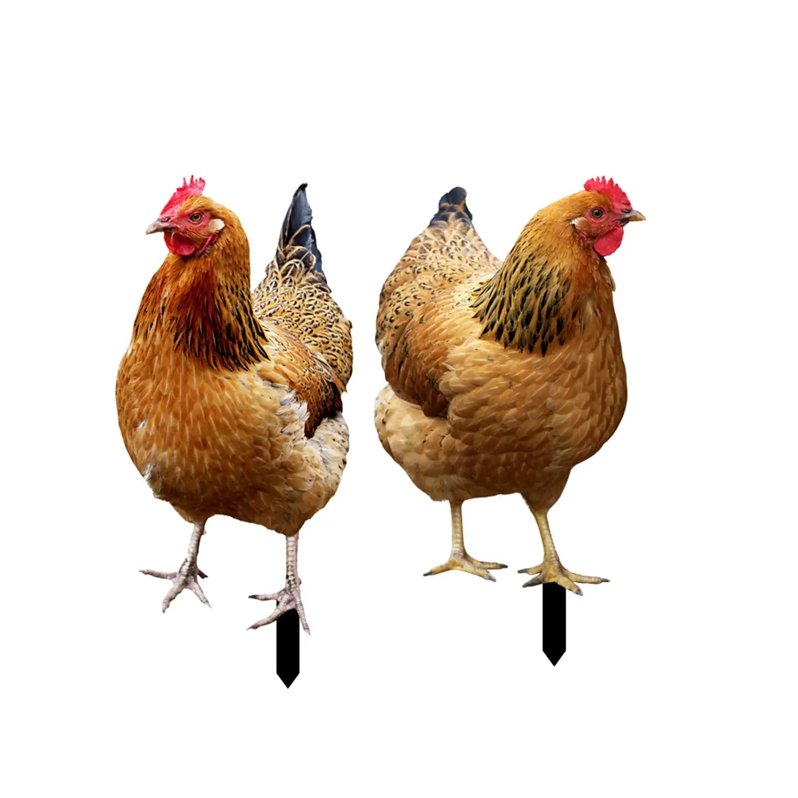 Hen Garden Stakes Animal Statue Metal Yard Sign Lifelike Chicken Figurine for Backyard Farmhouse Gift Decoration