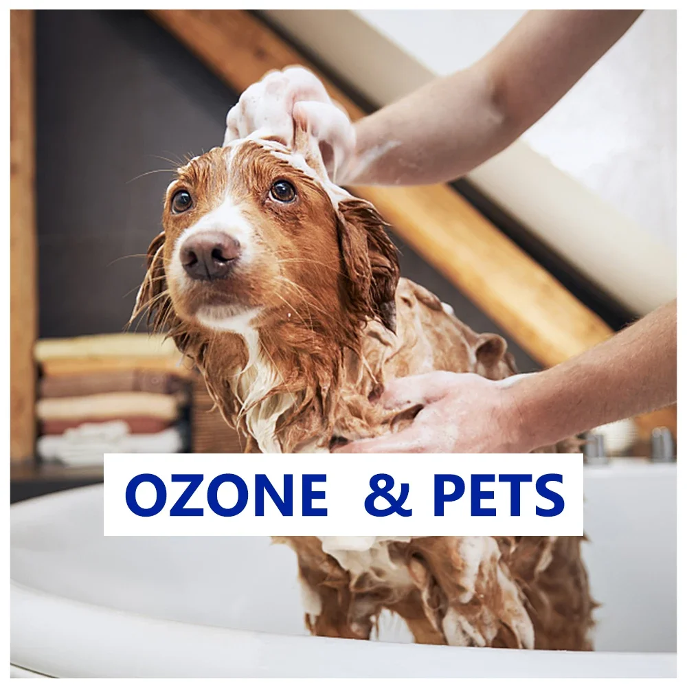 Professional Ozone Purifier for Dog Spa Bath Water Treatment Odor Removal Machinery Home Use Laundry , Washing Machine