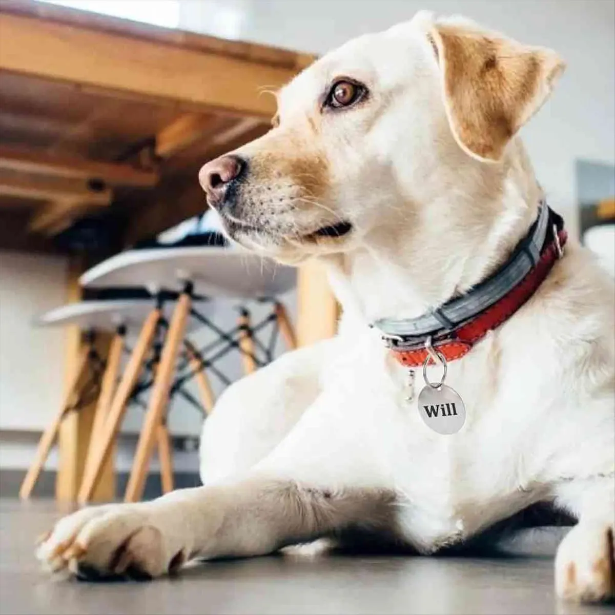 

ABYO 55 шт., пустые бирки для штамповки металла — 1,5-дюймовые круглые заготовки для штамповки из нержавеющей стали с отверстием, для изготовления ювелирных изделий своими руками