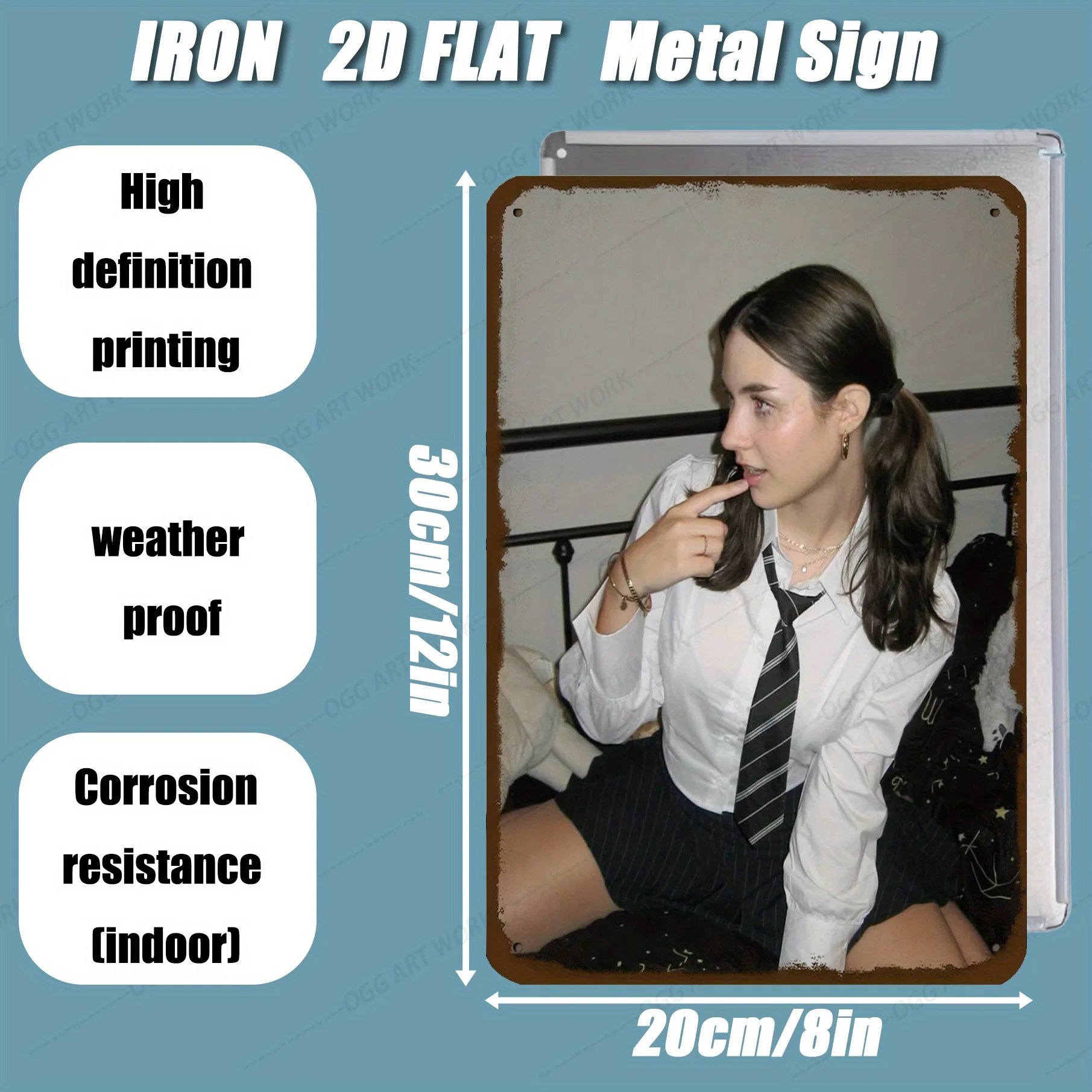2D Flat Iron Metal Sign Sample Display 1pc High Definition Printing Weather‑proof Corrosion‑resistant Indoor Wall Decor 20x30cm