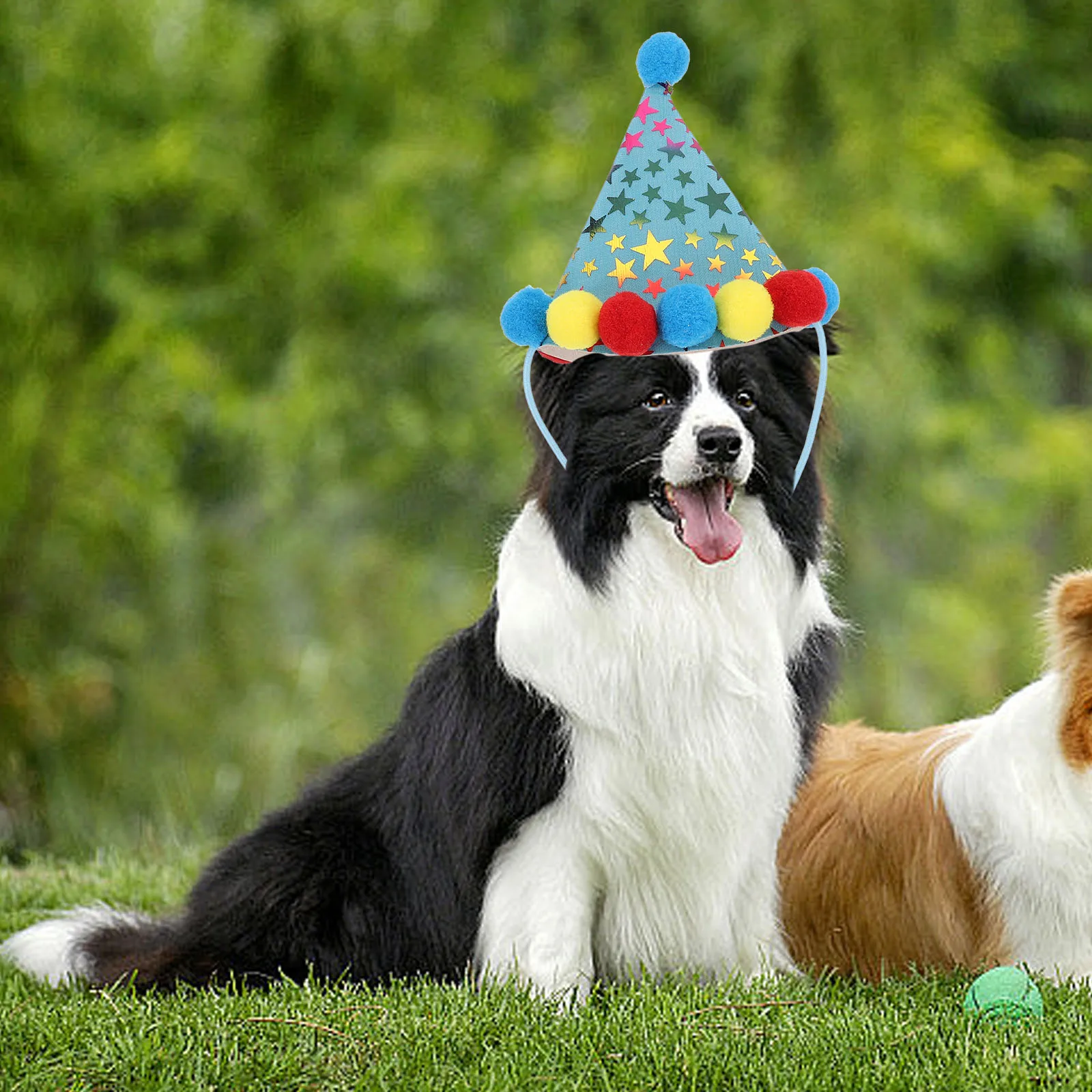 

Pet Birthday Cap Party Balloon Pet Birthday Balloon Pet Neckerchief Dog Birthday